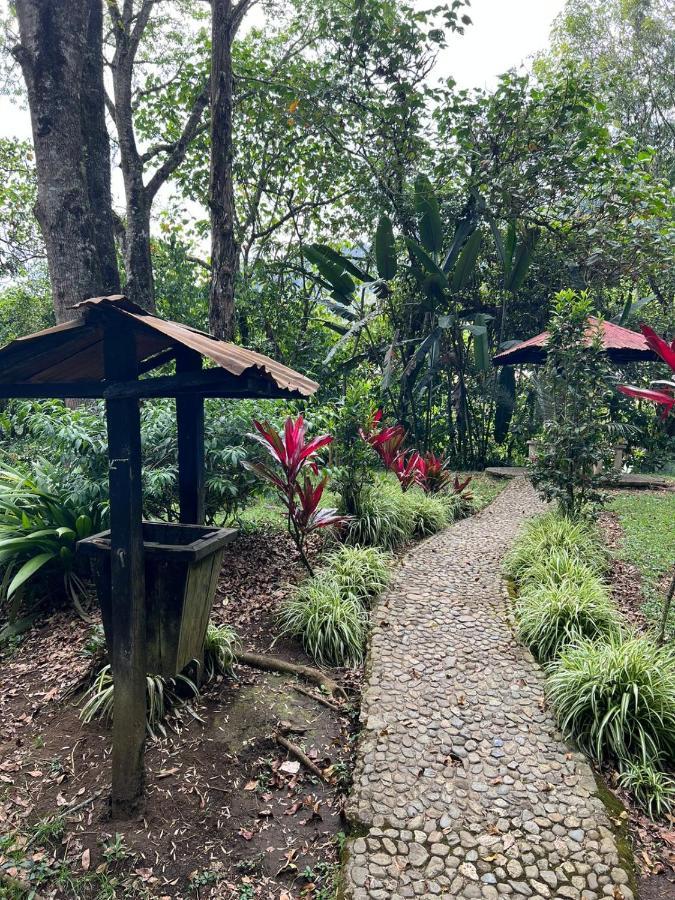 Hotel Spanglish Colombia Jericoc  Esterno foto